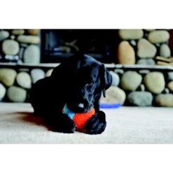 Chuckit! Indoor Shaker Dog Toy 7 Chuckit! Indoor Shaker Dog Toy -Pet Toys Shop 64798 PT3. AC SS1800 V1530911365
