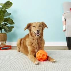 Omega Paw Tricky Treat Ball Dog Toy -Pet Toys Shop 66289 PT3. AC SS1800 V1530911427