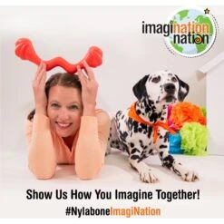 Nylabone Creative Play Tuug Interactive Tug Exercise Dog Toy, Blue -Pet Toys Shop 665670 PT7. AC SS1800 V1679080965