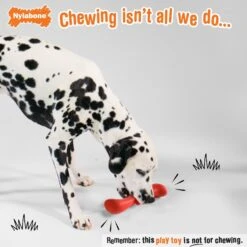 Nylabone Creative Play Stik-GO Interactive Dog Toy, Red -Pet Toys Shop 665702 PT2. AC SS1800 V1679081895
