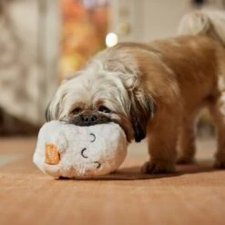 Frisco Halloween Trick Or Treat Ghost Plush Squeaky Dog Toy 8 Frisco Halloween Trick Or Treat Ghost Plush Squeaky Dog Toy -Pet Toys Shop 667974 PT3. AC SS1800 V1689350978