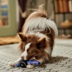 Frisco Halloween Bat Fetch Squeaky Tennis Ball Dog Toy -Pet Toys Shop 668278 PT3. AC SS1800 V1689350166