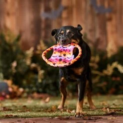 Frisco Halloween Ghost Swirl Fetch Flyer Dog Toy -Pet Toys Shop 668294 PT3. AC SS1800 V1689278363