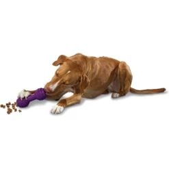 PetSafe Busy Buddy Chuckle Squeaky Treat Dispenser Dog Toy -Pet Toys Shop 67197 PT2. AC SS1800 V1602314161
