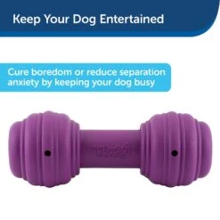 PetSafe Busy Buddy Chuckle Squeaky Treat Dispenser Dog Toy -Pet Toys Shop 67197 PT3. AC SS1800 V1602303964