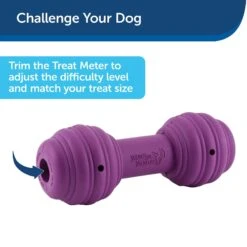 PetSafe Busy Buddy Chuckle Squeaky Treat Dispenser Dog Toy -Pet Toys Shop 67197 PT6. AC SS1800 V1602292561