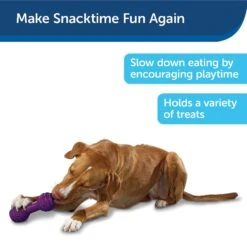 PetSafe Busy Buddy Chuckle Squeaky Treat Dispenser Dog Toy -Pet Toys Shop 67197 PT7. AC SS1800 V1602285959