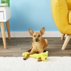 Multipet Loofa Floppy Light-Weight Squeaky Stuffing-Free Dog Toy -Pet Toys Shop 68076 PT3. AC SS1800 V1545171770