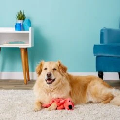 Multipet Loofa Squeaker Mat Soft Plush Dog Toy, Color Varies -Pet Toys Shop 68083 PT2. AC SS1800 V1530544396