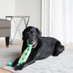 Fat Cat Water Bottle Crunchers Dog Toy, Character Varies -Pet Toys Shop 68609 PT2. AC SS1800 V1602336363