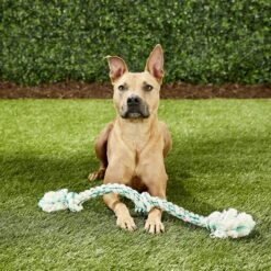 Booda Fresh N Floss Spearmint 3-Knot Rope Dog Toy -Pet Toys Shop 70578 PT4. AC SS1800 V1545172330