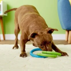 JW Pet Invincible Chains Triple Dog Toy, Color Varies -Pet Toys Shop 71039 pt8. AC SS1800 V1503351698