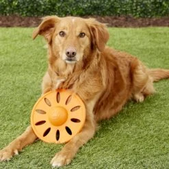 JW Pet Whirlwheel Flying Disk Dog Toy, Color Varies -Pet Toys Shop 71070 PT4. AC SS1800 V1531508852