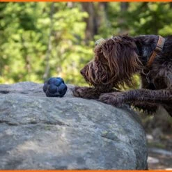 Monster K9 Dog Toys Ultra Durable Tumbler Interactive Dog Toy, Black -Pet Toys Shop 711342 PT4. AC SS1800 V1668809680