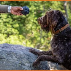 Monster K9 Dog Toys Ultra Durable Tumbler Interactive Dog Toy, Black -Pet Toys Shop 711342 PT6. AC SS1800 V1668809680