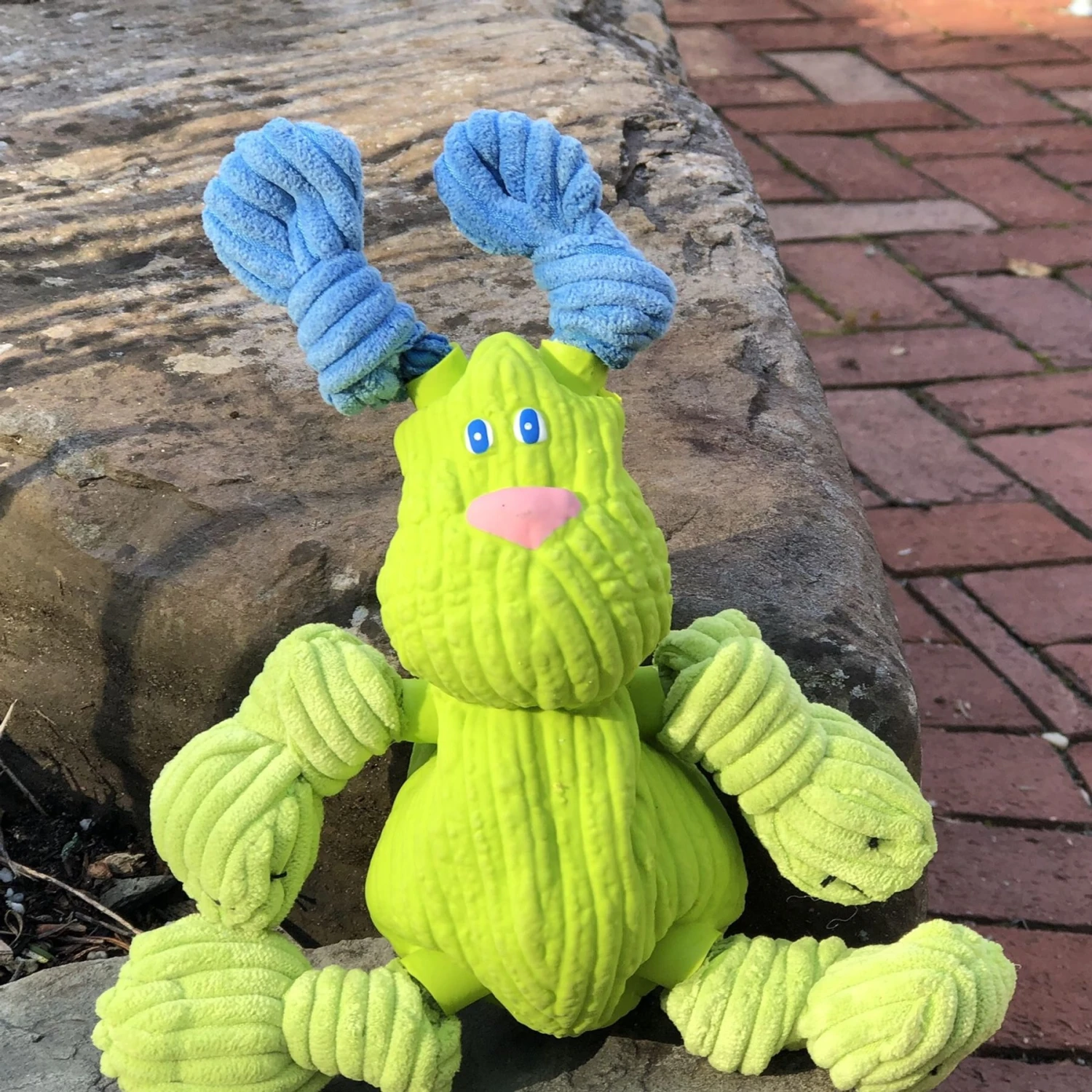 HuggleHounds Bugsy Bunny Fusion Dog Toy, Medium 2 HuggleHounds Bugsy Bunny Fusion Dog Toy, Medium - Image 2