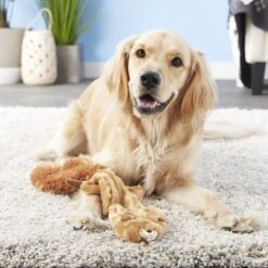 Ethical Pet Skinneeez Forest Series Squirrel Stuffing-Free Squeaky Plush Dog Toy 7 Ethical Pet Skinneeez Forest Series Squirrel Stuffing-Free Squeaky Plush Dog Toy -Pet Toys Shop 71344 PT7. AC SS1800 V1527093148