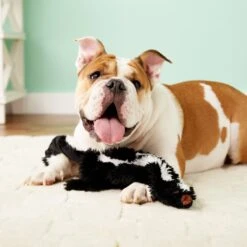 Ethical Pet Skinneeez Forest Series Skunk Stuffing-Free Squeaky Plush Dog Toy -Pet Toys Shop 71347 PT7. AC SS1800 V1527093166