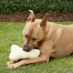 Ethical Pet Fleece Bone Squeaky Tough Plush Dog Toy -Pet Toys Shop 71366 PT2. AC SS1800 V1545172681
