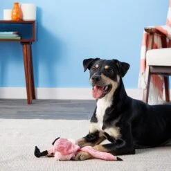 Ethical Pet Skinneeez Exotic Series Pink Flamingo Stuffing-Free Squeaky Plush Dog Toy -Pet Toys Shop 71468 PT7. AC SS1800 V1527093265