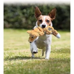 KONG Scrunch Knots Raccoon Dog Toy 10 KONG Scrunch Knots Raccoon Dog Toy -Pet Toys Shop 71943 PT6. AC SS1800 V1603155978