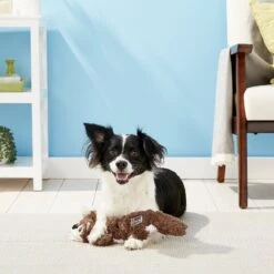 KONG Scrunch Knots Squirrel Dog Toy -Pet Toys Shop 71946 PT4. AC SS1800 V1603167690