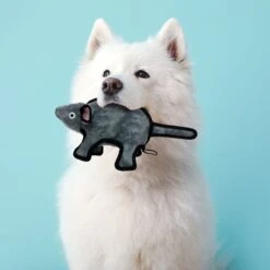 Tuffy's Gray Mouse Mo Plush Dog Toy -Pet Toys Shop 72125 PT2. AC SS1800 V1589492806