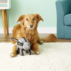 Tuffy's Gray Mouse Mo Plush Dog Toy -Pet Toys Shop 72125 PT3. AC SS1800 V1589492824