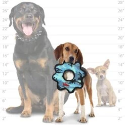 Tuffy's Junior Gear Ring Squeaky Plush Dog Toy 12 Tuffy's Junior Gear Ring Squeaky Plush Dog Toy -Pet Toys Shop 72138 PT5. AC SS1800 V1589492869