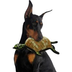 Tuffy's Ocean Creatures Burtle Turtle Plush Dog Toy -Pet Toys Shop 72169 PT2. AC SS1800 V1589493364