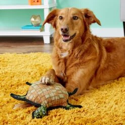Tuffy's Ocean Creatures Burtle Turtle Plush Dog Toy -Pet Toys Shop 72169 PT3. AC SS1800 V1530544980