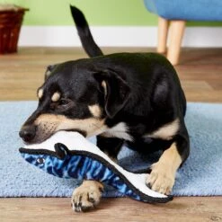 Tuffy's Ocean Creatures Whale Wesley Squeaky Plush Dog Toy -Pet Toys Shop 72171 PT3. AC SS1800 V1589493398