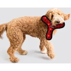 Tuffy's Ultimate Bowmerang Squeaky Plush Dog Toy -Pet Toys Shop 72189 PT2. AC SS1800 V1589493690
