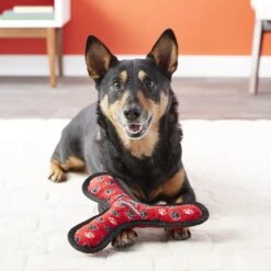 Tuffy's Ultimate Bowmerang Squeaky Plush Dog Toy -Pet Toys Shop 72189 PT3. AC SS1800 V1589493710