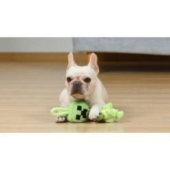 Fetch For Pets Minecraft Creeper Rope Squeaky Dog Toy -Pet Toys Shop 728574 PT4. AC SS1800 V1682627985