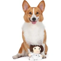 Fetch For Pets Star Wars Leia Plush Figure Dog Toy -Pet Toys Shop 728942 PT3. AC SS1800 V1682609194