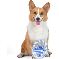 Fetch For Pets Star Wars R2D2 Rope Head Plush Dog Toy -Pet Toys Shop 729030 PT3. AC SS1800 V1682609191