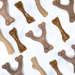 Nylabone Puppy Gourmet Style Strong Chew Bacon & Peanut Butter Dog Toy Bundle -Pet Toys Shop 737902 PT5. AC SS1800 V1672930578