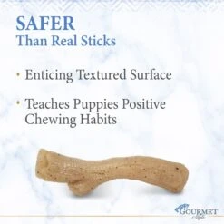 Nylabone Puppy Gourmet Style Strong Chew Chicken Flavored Dog Toy Stick -Pet Toys Shop 737934 PT3. AC SS1800 V1672931818