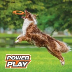 Nylabone Power Play Super Flyer Gripz Disc Dog Toy, One Size -Pet Toys Shop 737950 PT3. AC SS1800 V1672931818