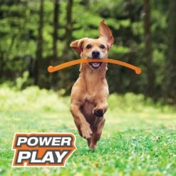 Nylabone Power Play Crazy Stick Dog Toy, Orange -Pet Toys Shop 737966 PT2. AC SS1800 V1672929912
