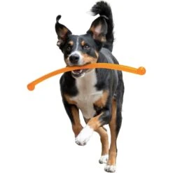 Nylabone Power Play Crazy Stick Dog Toy, Orange -Pet Toys Shop 737966 PT8. AC SS1800 V1672929859