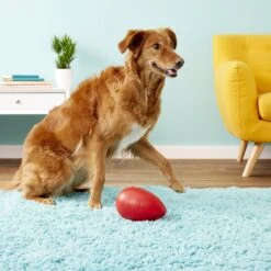 Jolly Pets Jolly Egg Dog Toy, Red 8 Jolly Pets Jolly Egg Dog Toy, Red -Pet Toys Shop 74520 PT3. AC SS1800 V1530546160