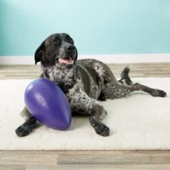 Jolly Pets Jolly Egg Dog Toy, Purple -Pet Toys Shop 74529 PT8. AC SS1800 V1506968381