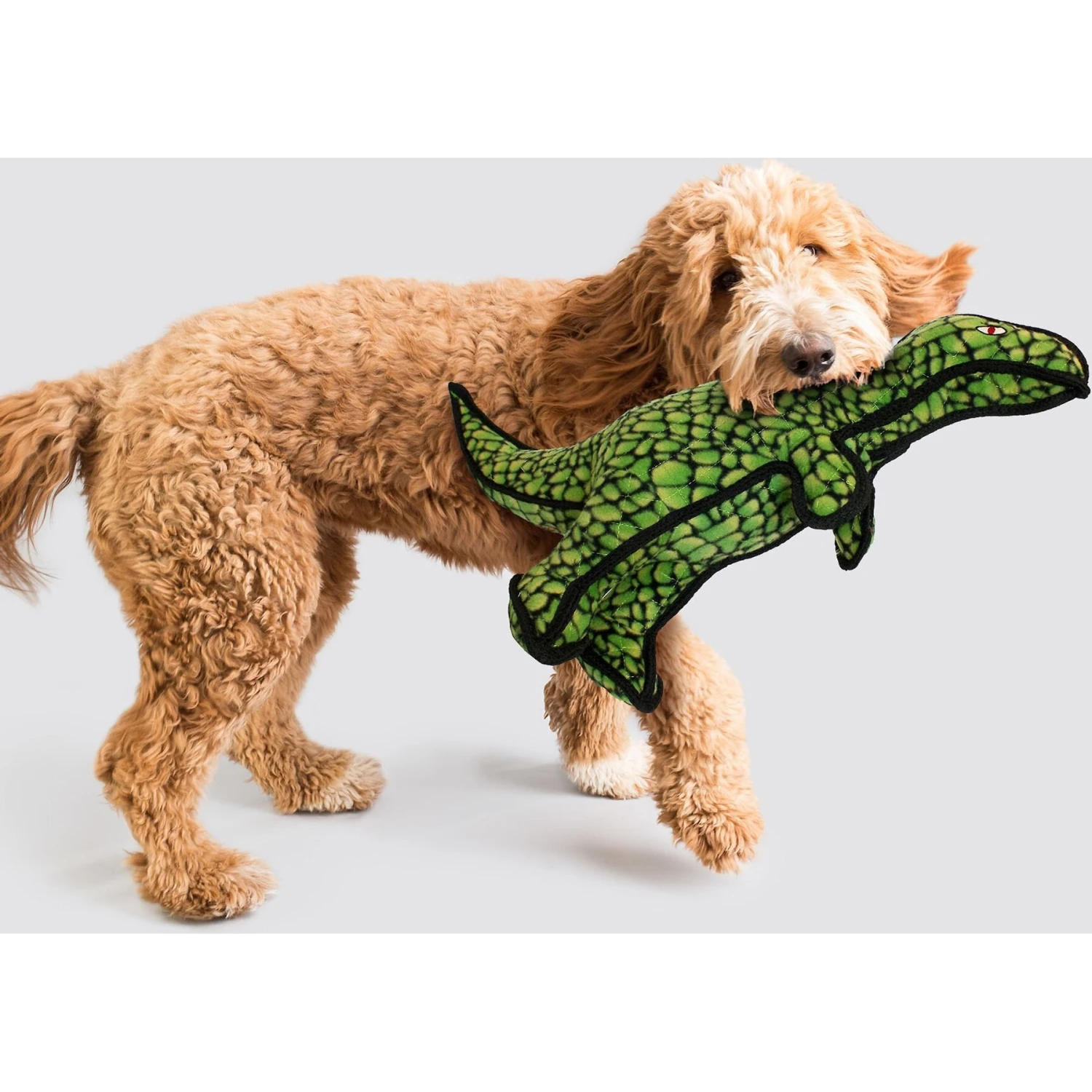 Tuffy's T-Rex Dinosaur Plush Dog Toy 3 Tuffy's T-Rex Dinosaur Plush Dog Toy - Image 3
