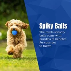 CoCoo Spiky Squeaky Dog & Ferret Rubber Ball, Dental Chew Fetch & Play Toy -Pet Toys Shop 748702 PT4. AC SS1800 V1684772851