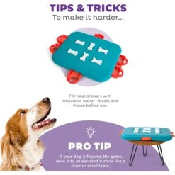 Nina Ottosson By Outward Hound Casino Puzzle Game Dog Toy 13 Nina Ottosson By Outward Hound Casino Puzzle Game Dog Toy -Pet Toys Shop 75370 PT4. AC SS1800 V1694286770