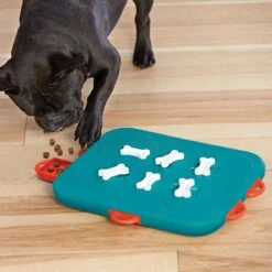 Nina Ottosson By Outward Hound Casino Puzzle Game Dog Toy 14 Nina Ottosson By Outward Hound Casino Puzzle Game Dog Toy -Pet Toys Shop 75370 PT5. AC SS1800 V1694286656