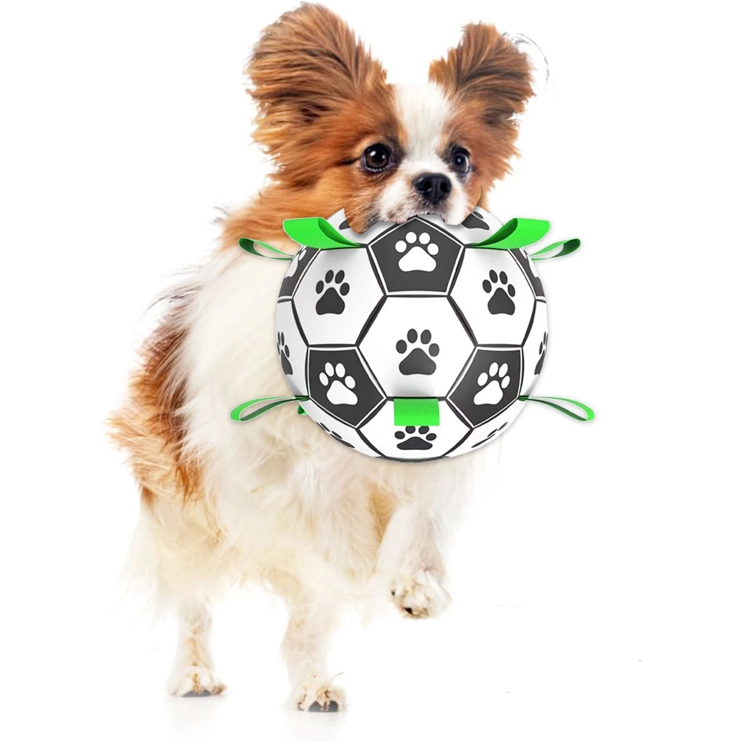 SunGrow Soccer Ball Dog & Cat Toy 1 SunGrow Soccer Ball Dog & Cat Toy
