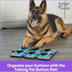 Hunger For Words Talking Pet Button Mat Dog Toy & Hunger For Words Talking Pet Starter Set Dog Toy 17 Hunger For Words Talking Pet Button Mat Dog Toy & Hunger For Words Talking Pet Starter Set Dog Toy -Pet Toys Shop 757726 PT8. AC SS1800 V1674051110